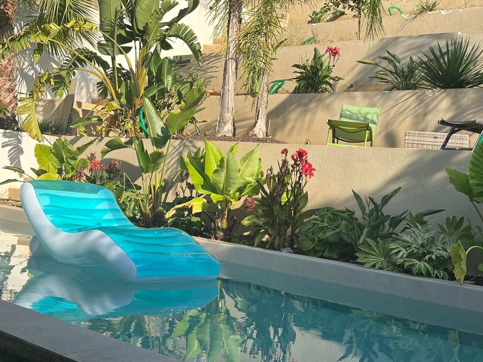 Piscine bordée d’un jardin méditerranéen en terrasses, palmiers et fleurs rouges